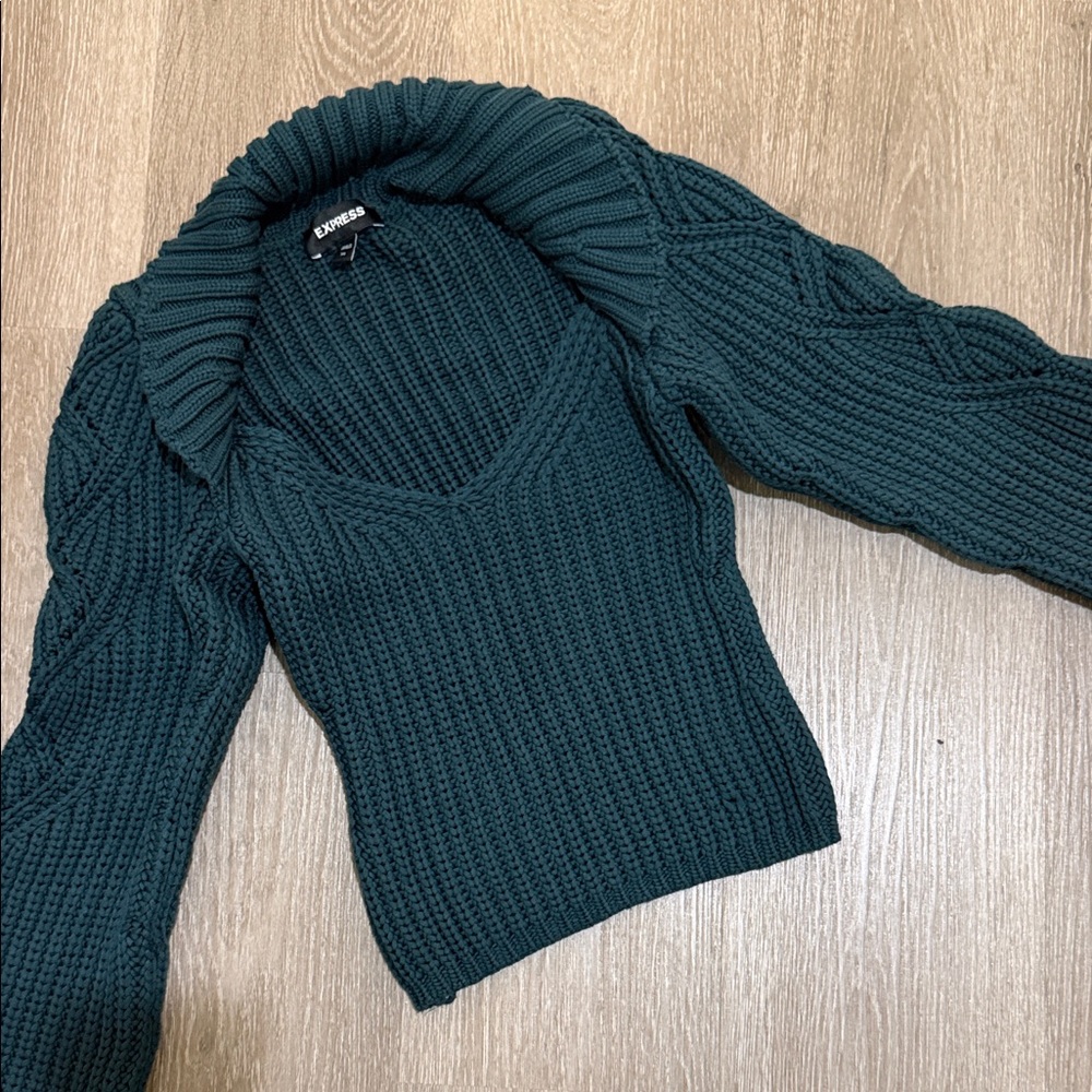 Express Women's Dark Green V-Neck Sweater